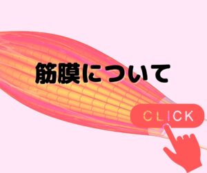 筋膜の詳細ページ
