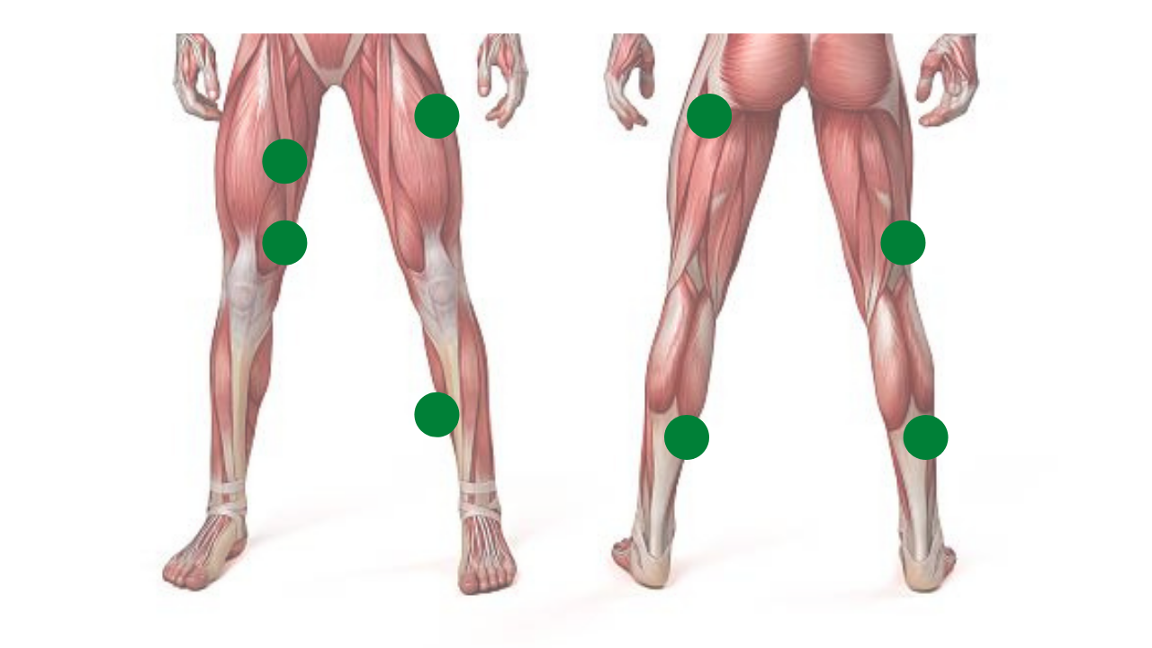 変形性膝関節症|最新治療