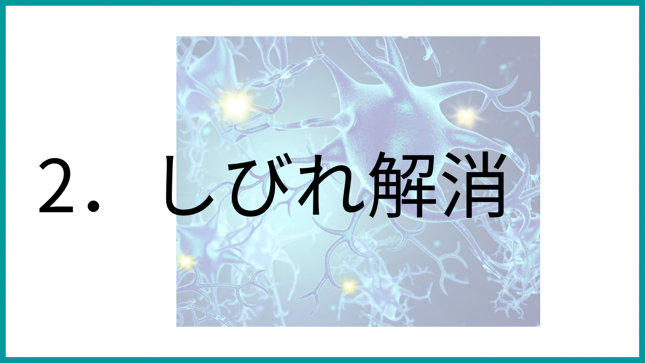 筋膜リリース|講習会|福岡